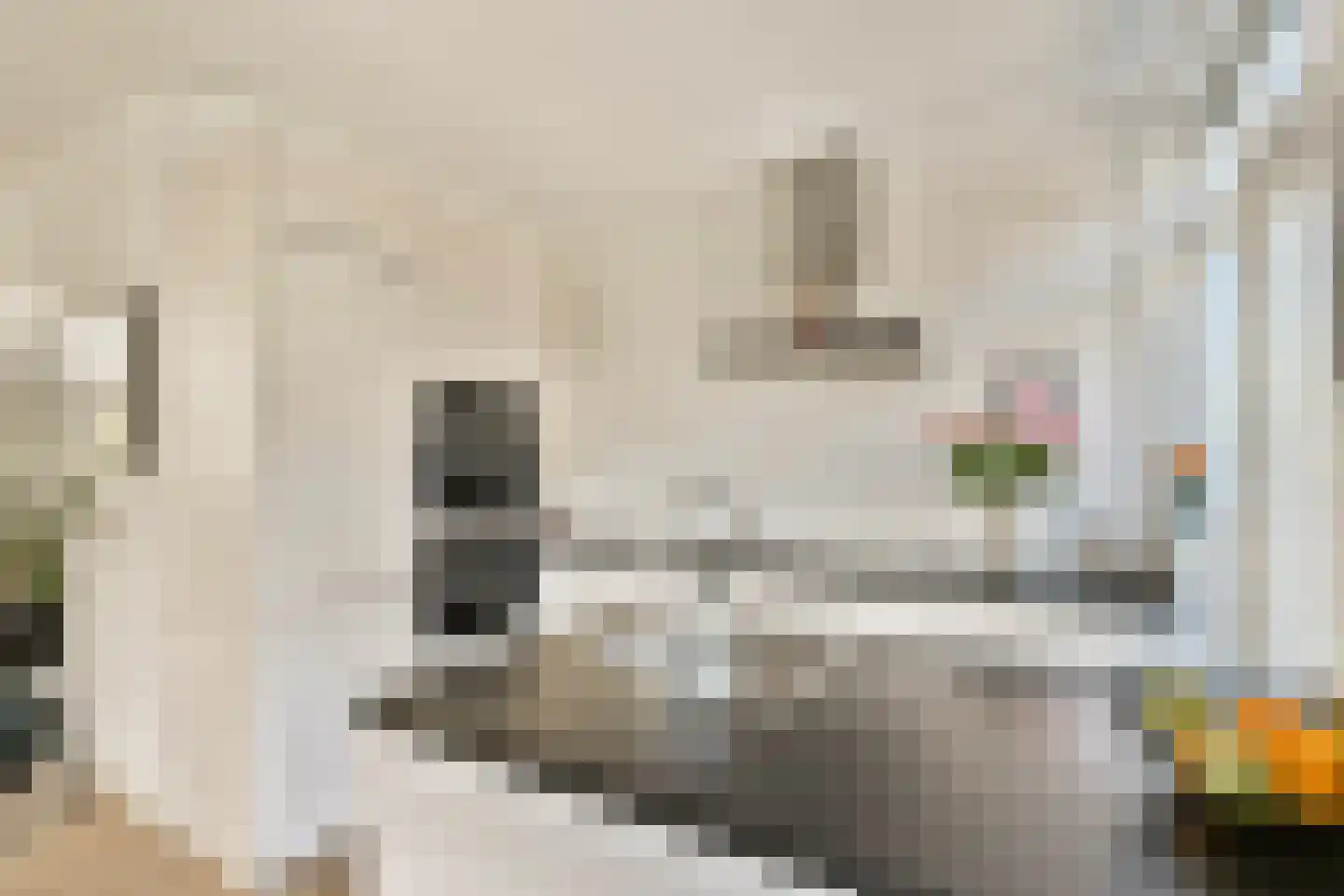 Lijsterbeslaan 23 Rotterdam thumbnail 8