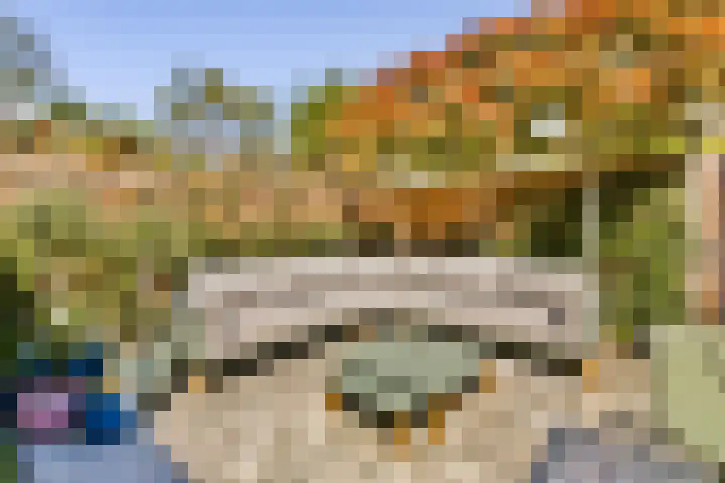 Lijsterbeslaan 23 Rotterdam thumbnail 9