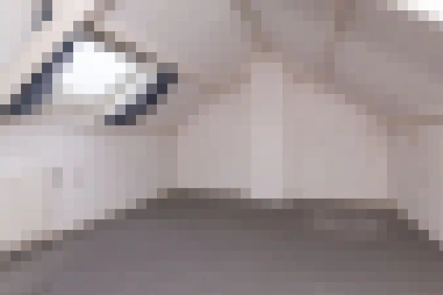 Lijsterbeslaan 24 Abbekerk thumbnail 31