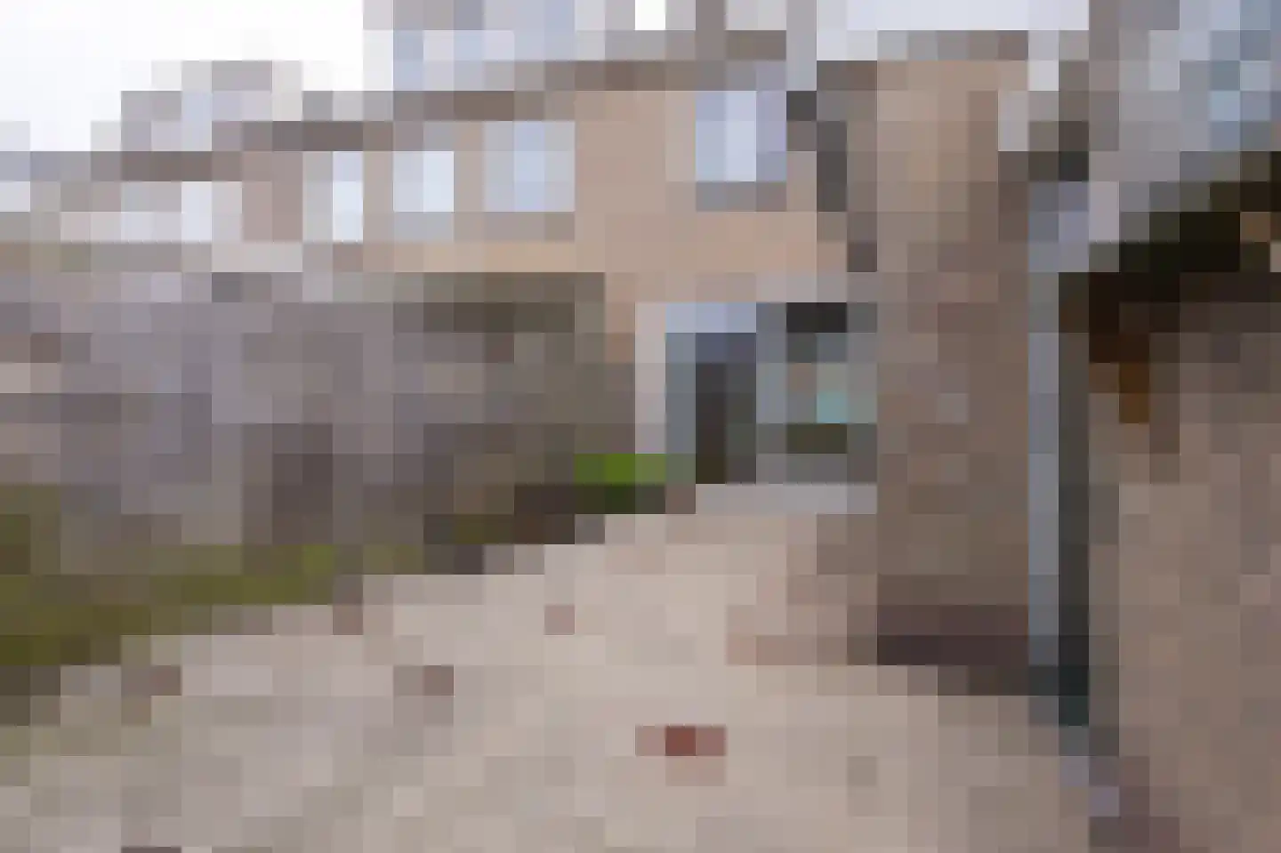 Lijsterbeslaan 24 Abbekerk thumbnail 34