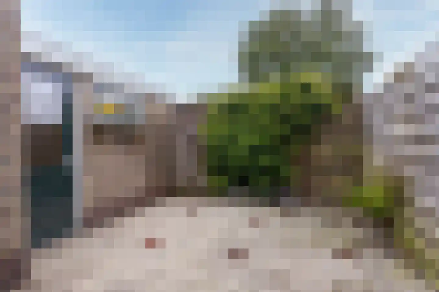 Lijsterbeslaan 24 Abbekerk thumbnail 36