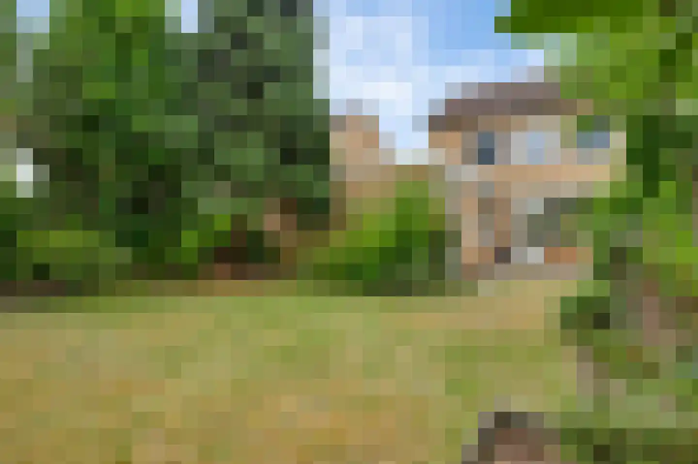 Lijsterbeslaan 25 Bunde thumbnail 20