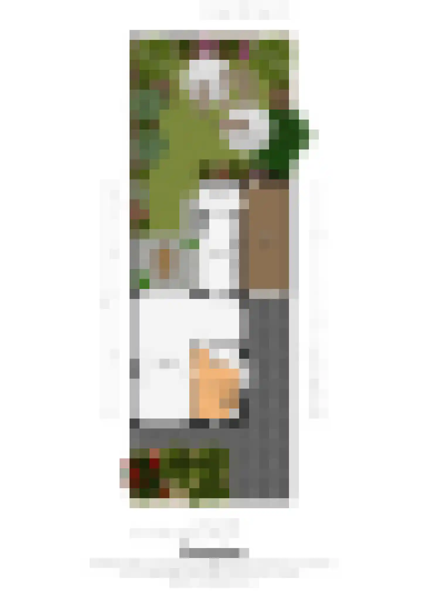 Lijsterbeslaan 25 Bunde thumbnail 23