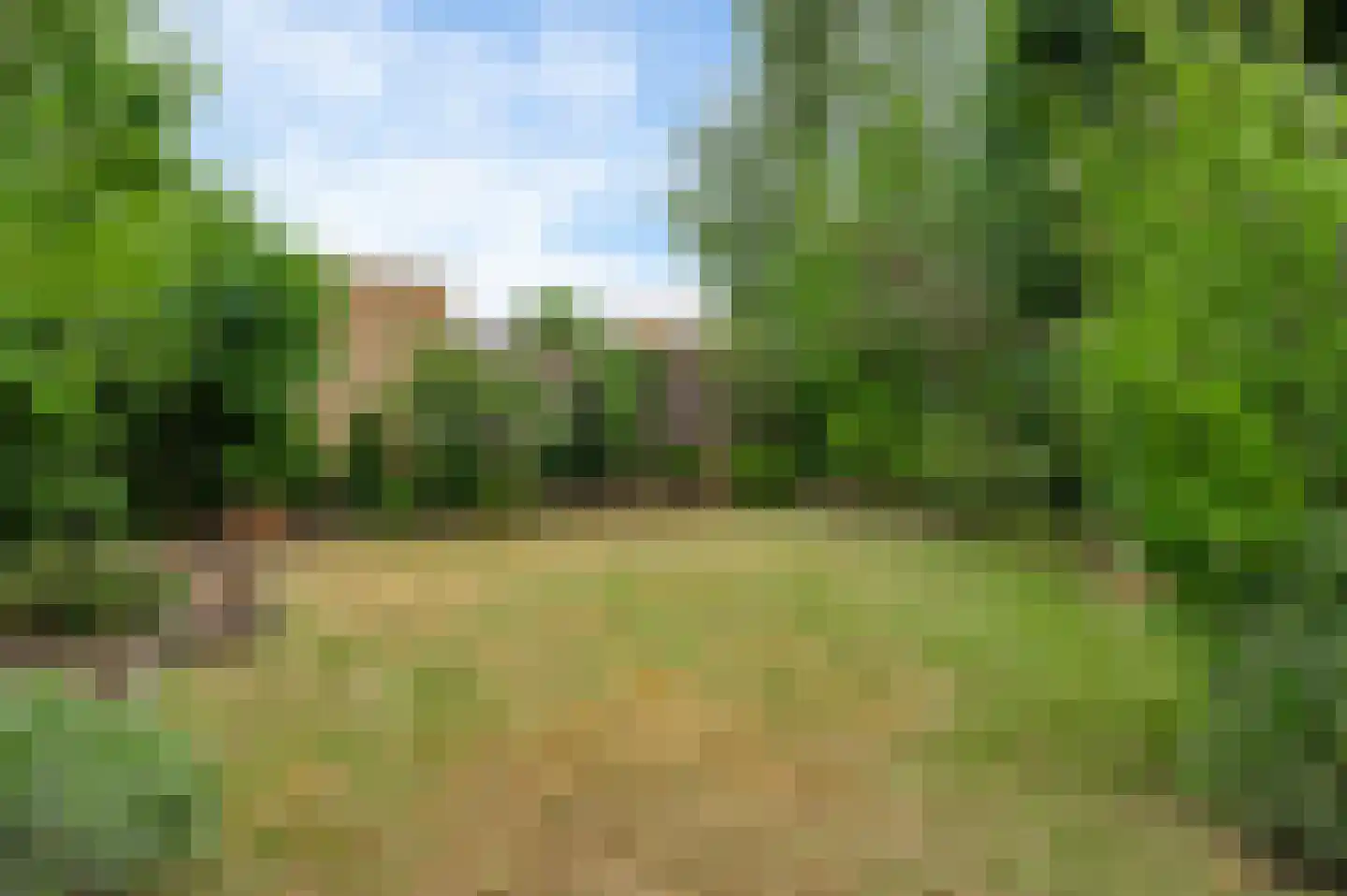 Lijsterbeslaan 25 Bunde thumbnail 5