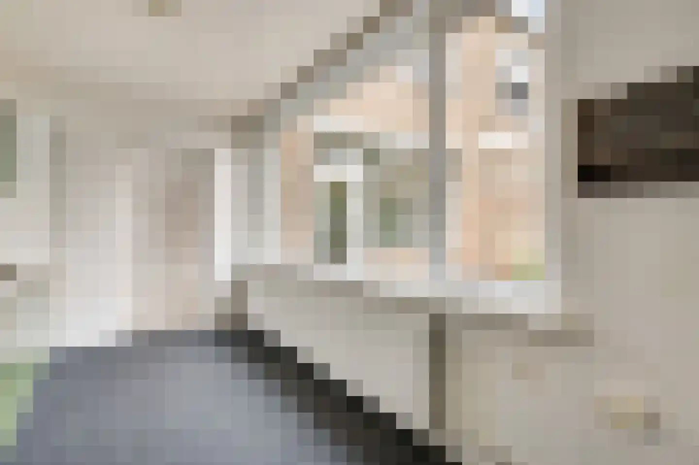 Lijsterbeslaan 25 Bunde thumbnail 8