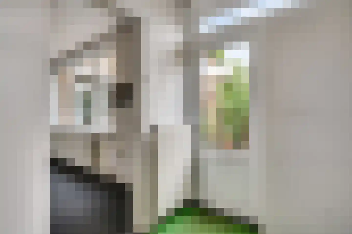 Lijsterbeslaan 25 Bunde thumbnail 9