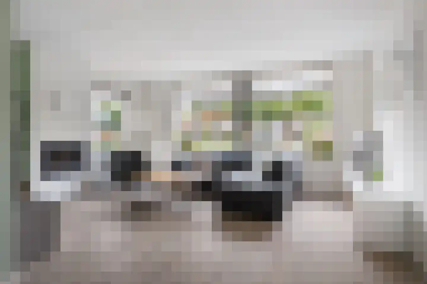 Lijsterbeslaan 27 Heerenveen thumbnail 10