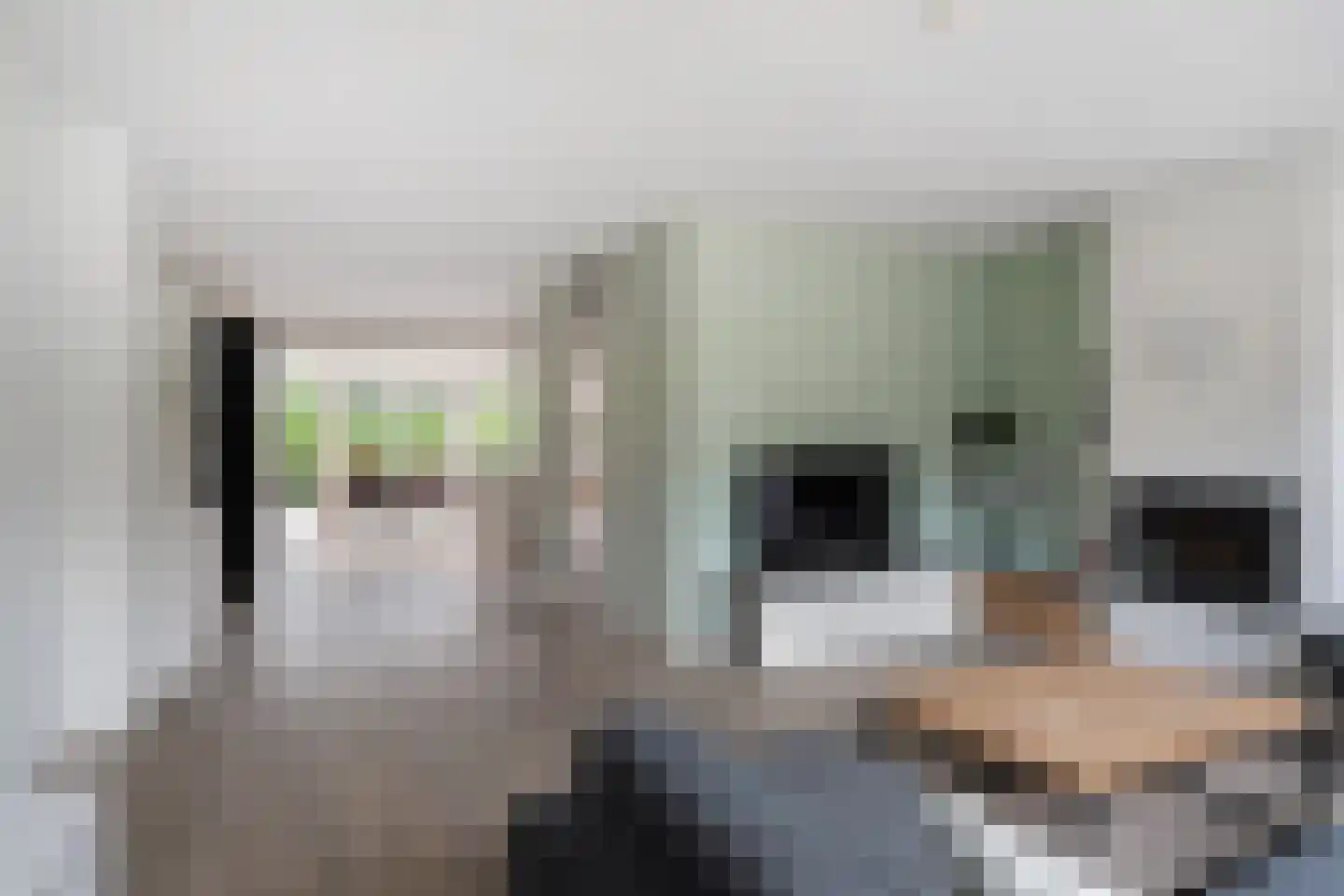 Lijsterbeslaan 27 Heerenveen thumbnail 13