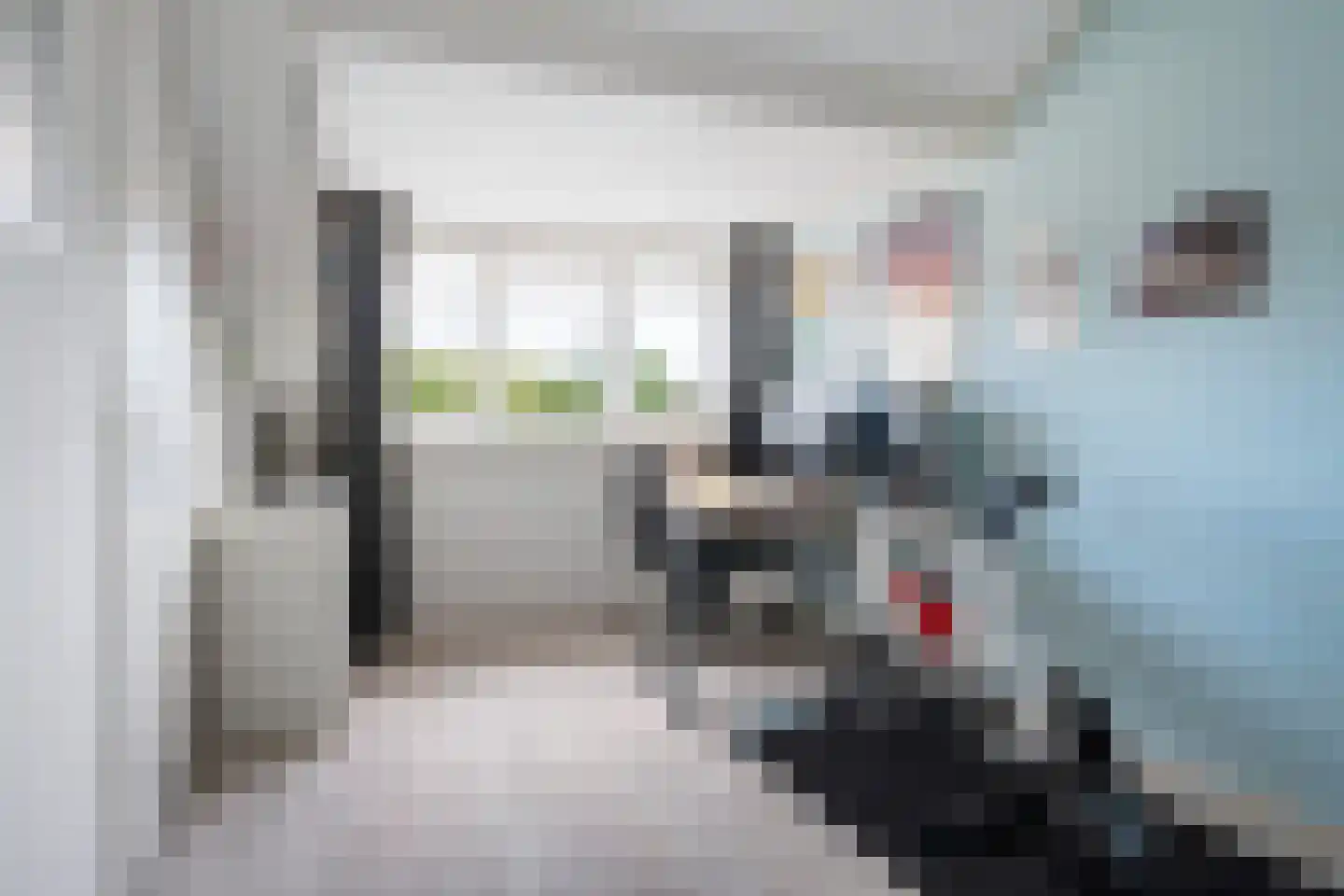 Lijsterbeslaan 27 Heerenveen thumbnail 35