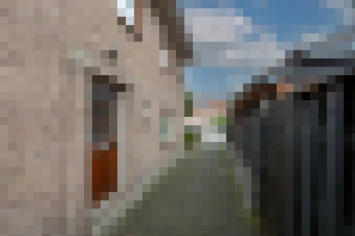 Lijsterbeslaan 27 Loosdrecht thumbnail 6