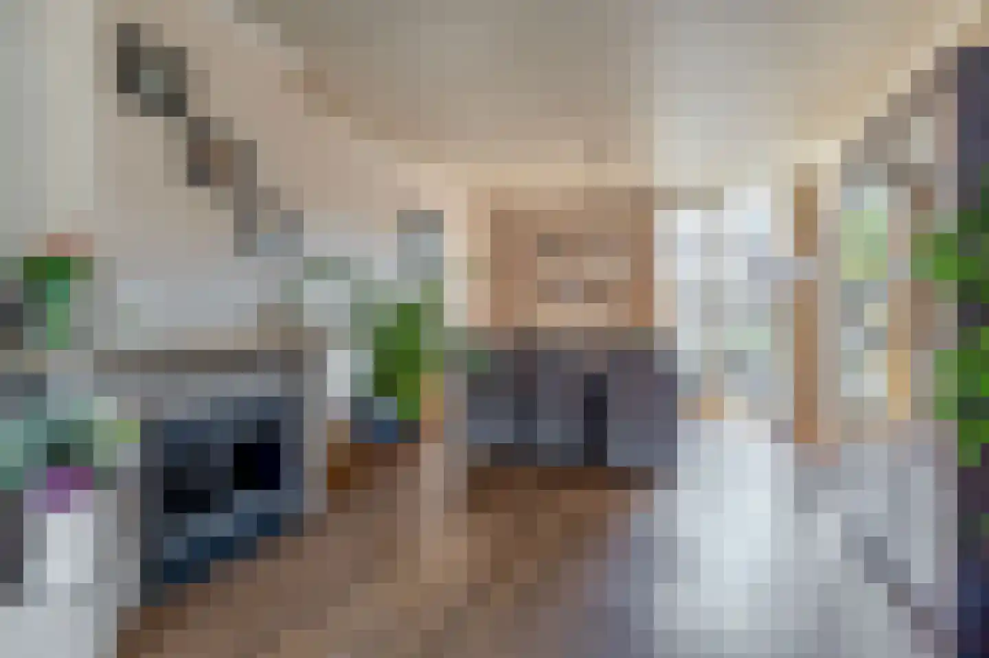 Lijsterbeslaan 27 Rozenburg thumbnail 12