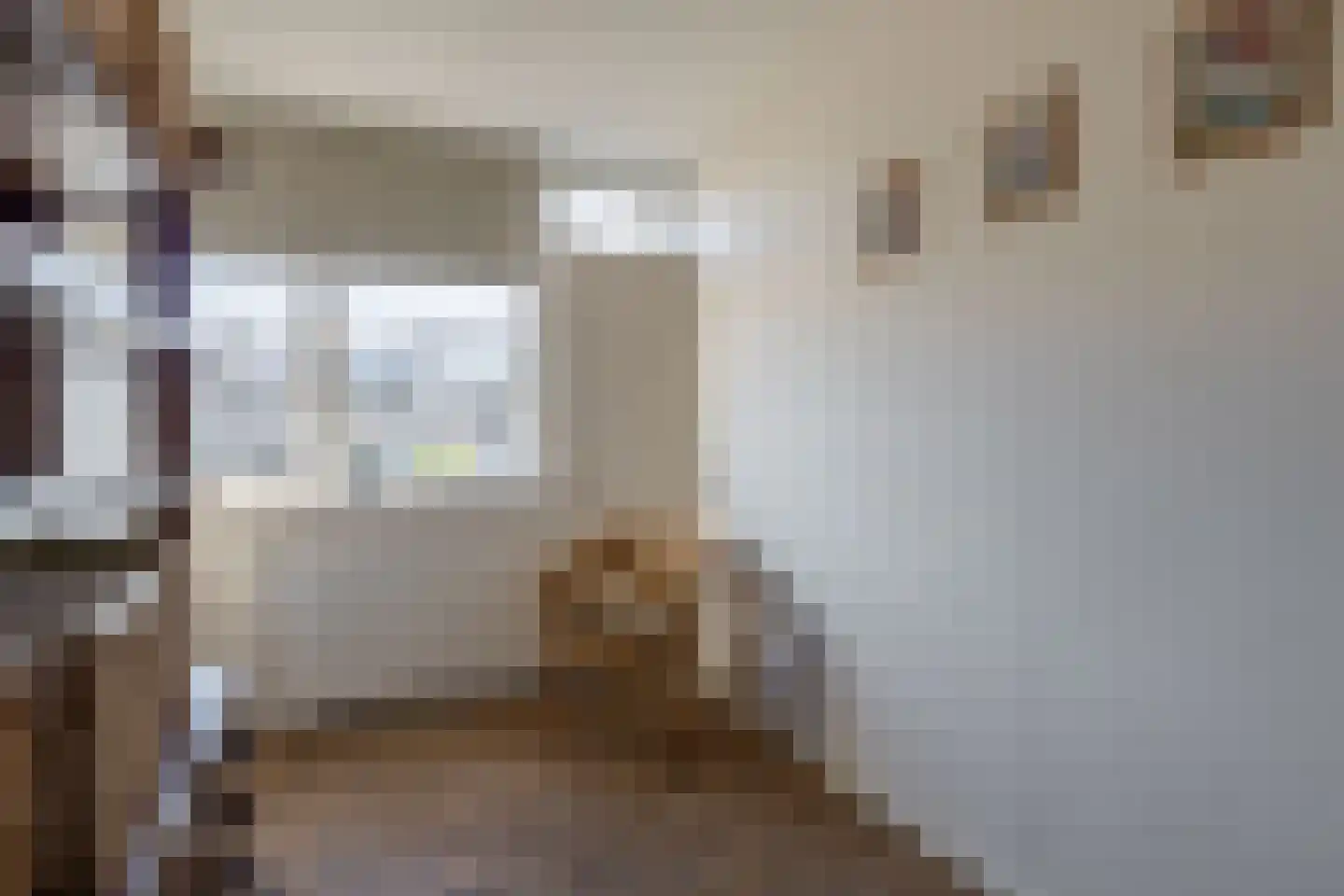 Lijsterbeslaan 27 Rozenburg thumbnail 29