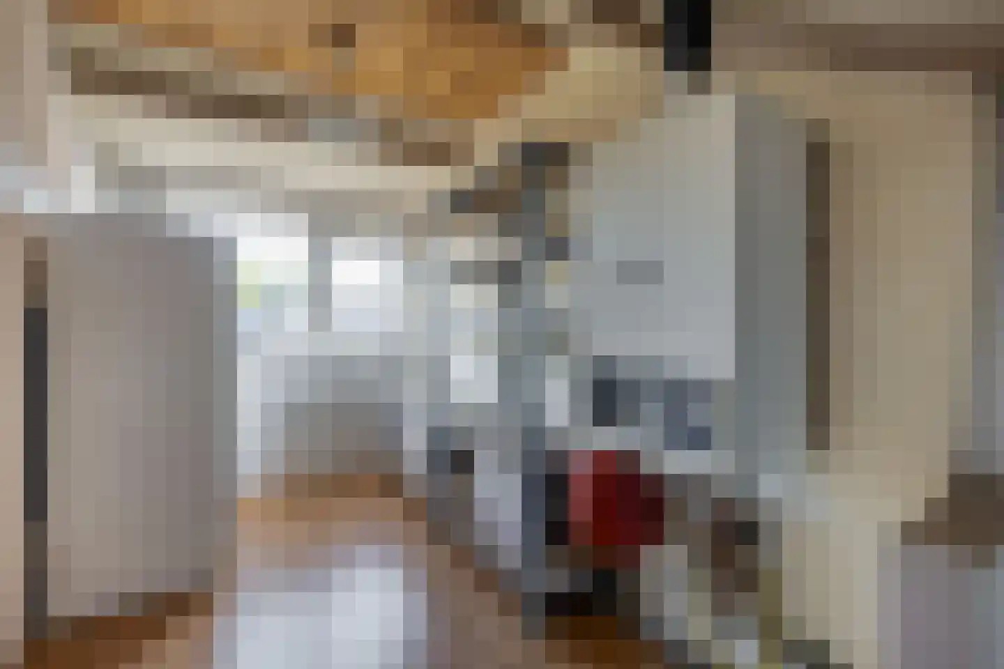 Lijsterbeslaan 27 Rozenburg thumbnail 32