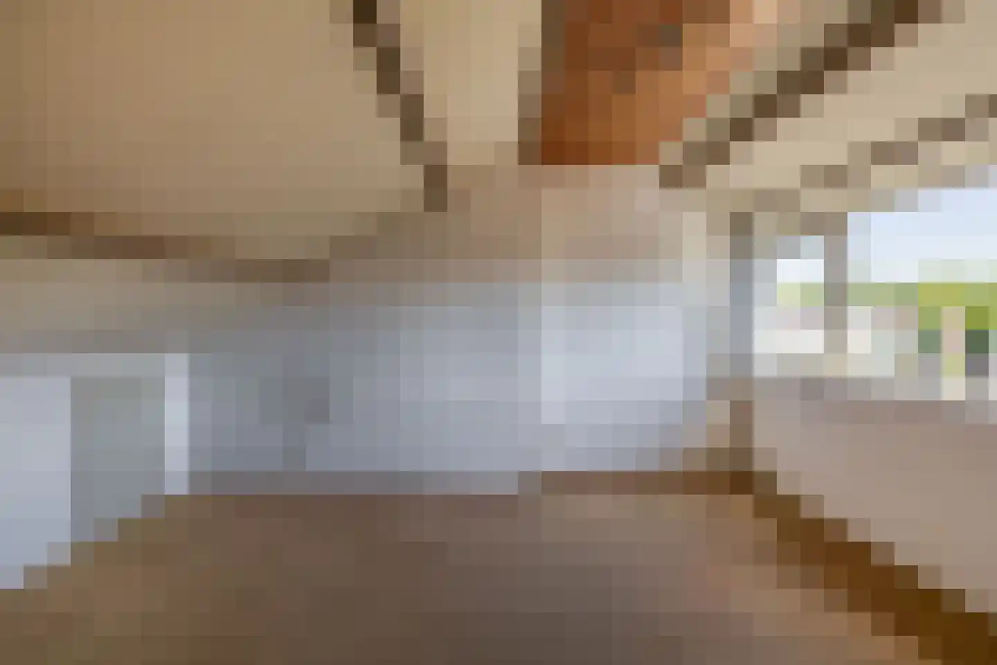Lijsterbeslaan 27 Rozenburg thumbnail 33