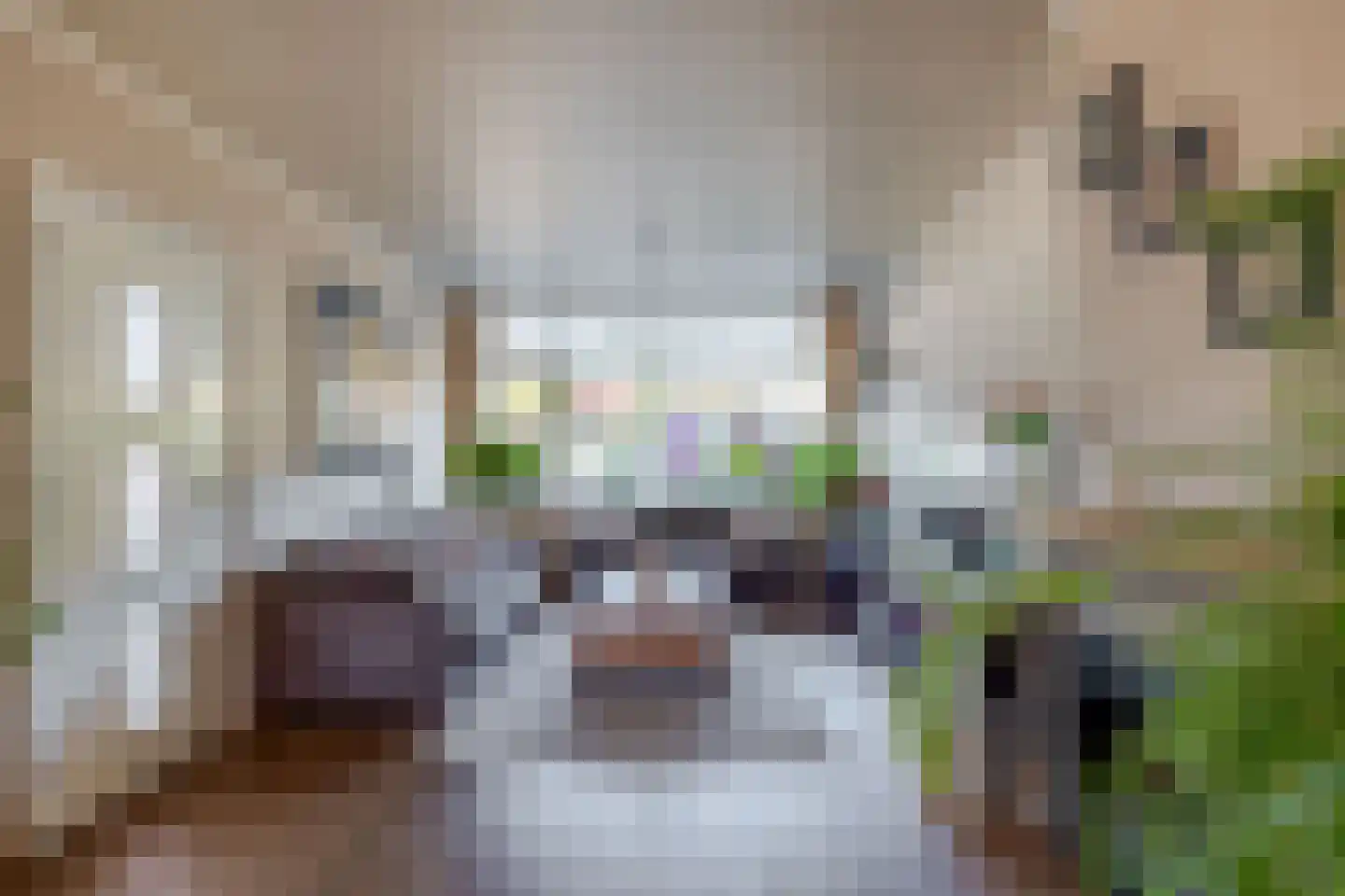 Lijsterbeslaan 27 Rozenburg thumbnail 9