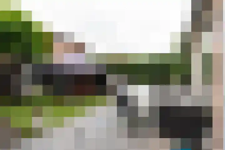 Lijsterbeslaan 28 Loosdrecht thumbnail 23