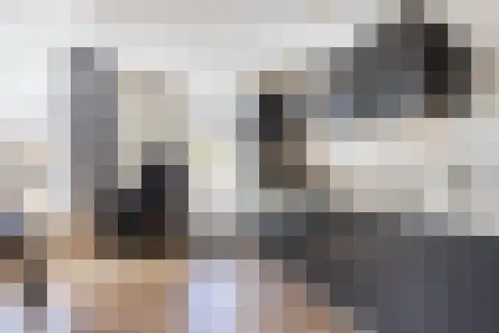 Lijsterbeslaan 29 Berkel-Enschot thumbnail 13