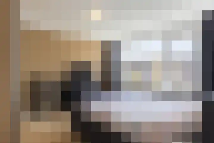 Lijsterbeslaan 29 Berkel-Enschot thumbnail 17
