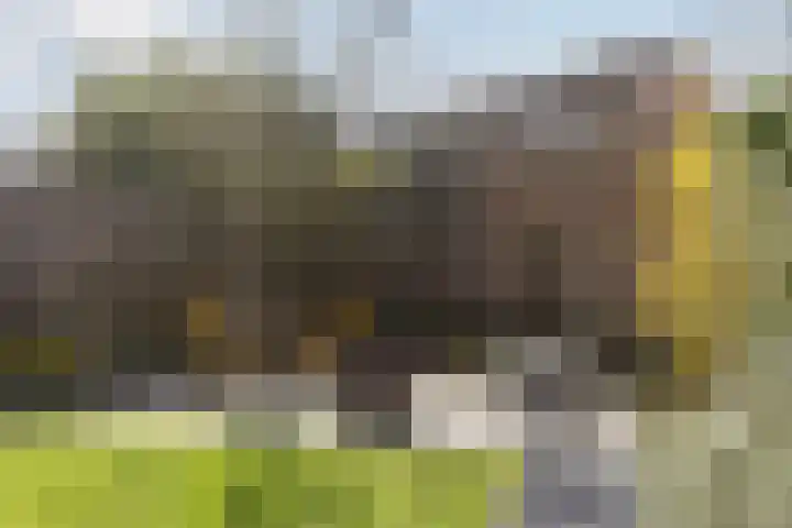 Lijsterbeslaan 29 Berkel-Enschot thumbnail 23