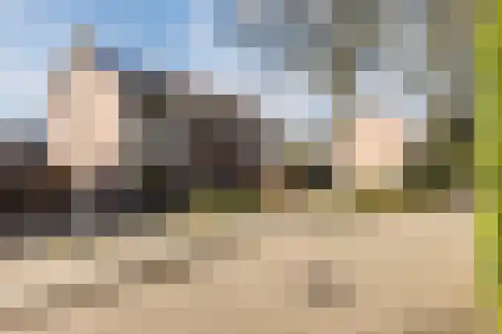 Lijsterbeslaan 29 Berkel-Enschot thumbnail 27