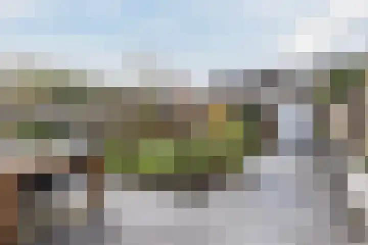 Lijsterbeslaan 29 Berkel-Enschot thumbnail 4