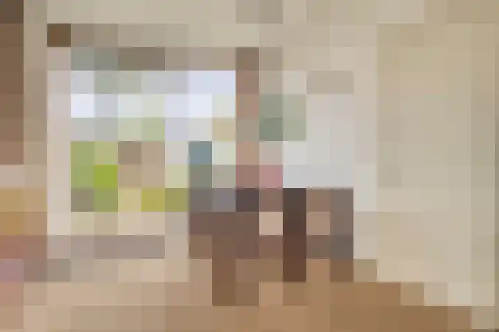 Lijsterbeslaan 3 Amstelveen thumbnail 10