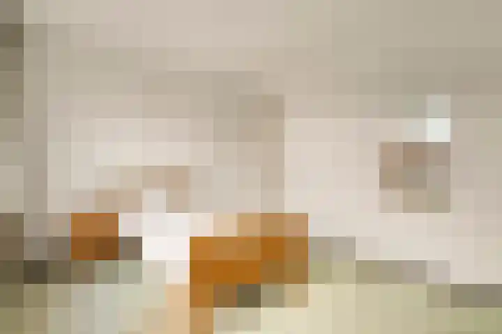 Lijsterbeslaan 3 Amstelveen thumbnail 20