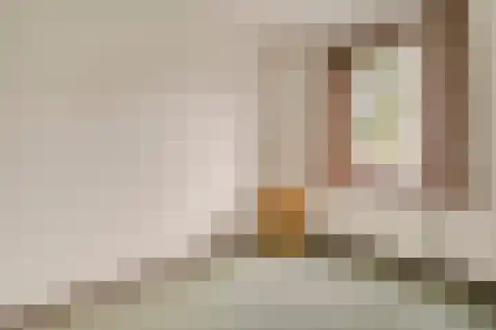 Lijsterbeslaan 3 Amstelveen thumbnail 24