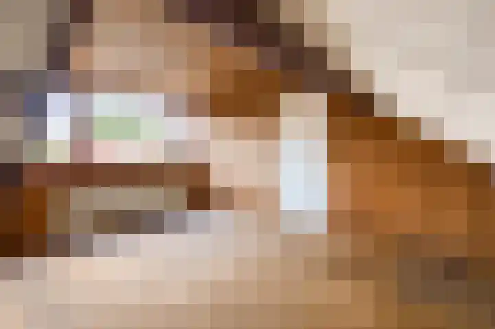 Lijsterbeslaan 3 Amstelveen thumbnail 30