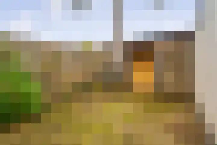 Lijsterbeslaan 3 Amstelveen thumbnail 35