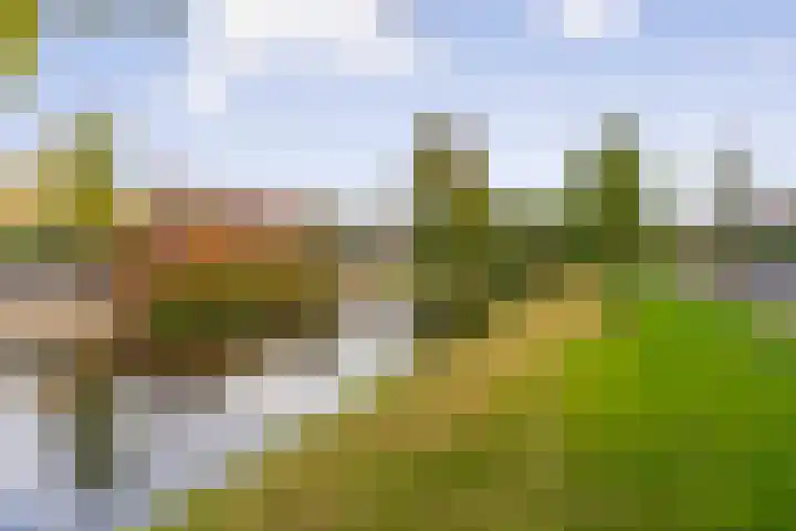 Lijsterbeslaan 3 Amstelveen thumbnail 39