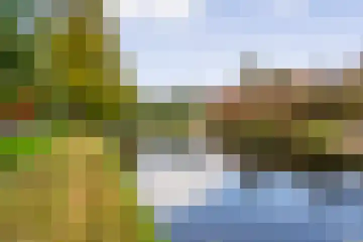 Lijsterbeslaan 3 Amstelveen thumbnail 40