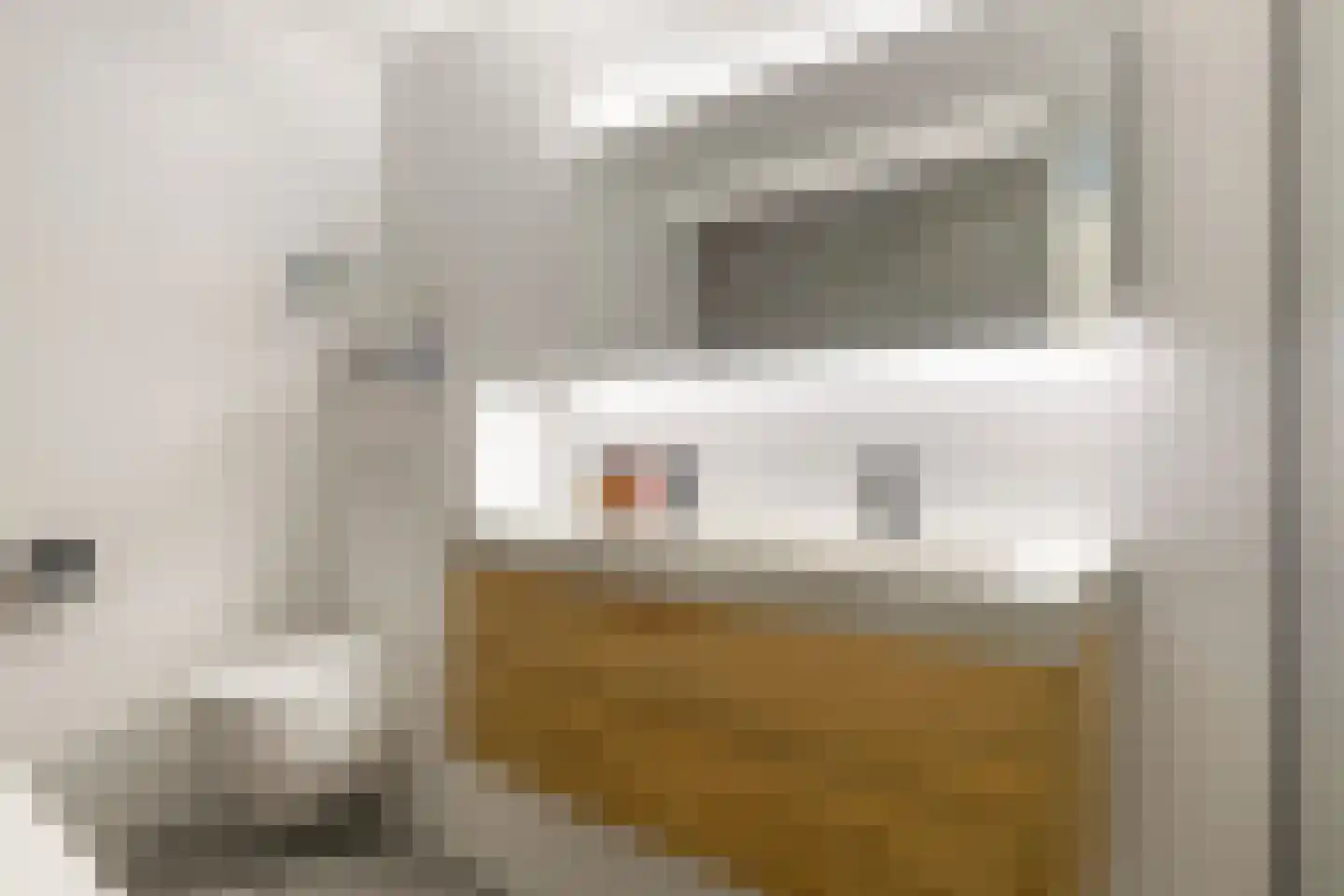 Lijsterbeslaan 3 Heerenveen thumbnail 22