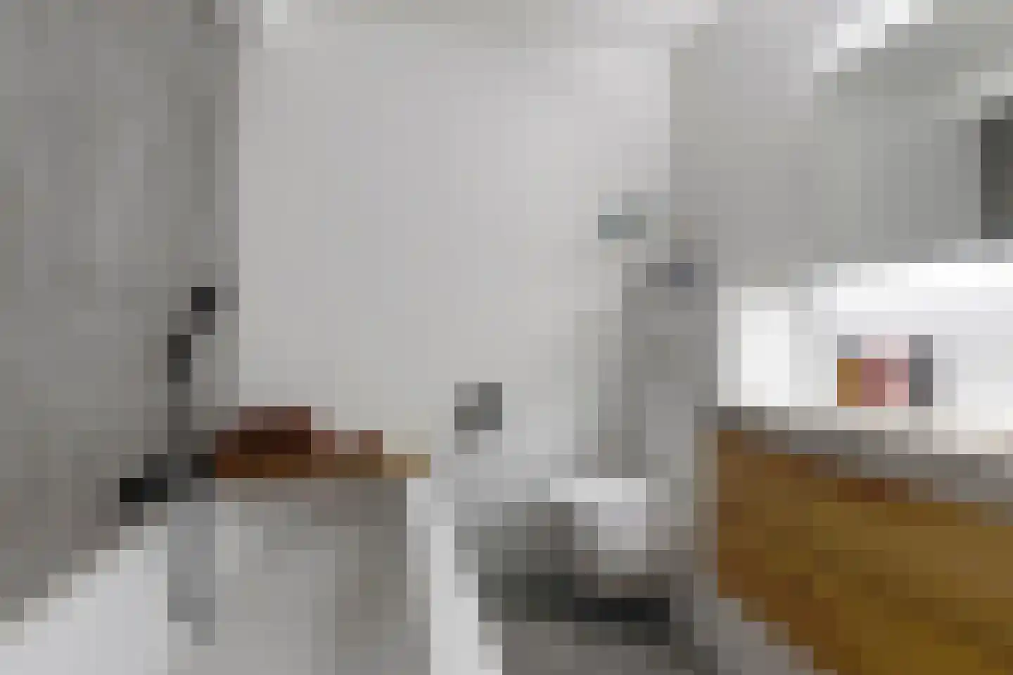 Lijsterbeslaan 3 Heerenveen thumbnail 24