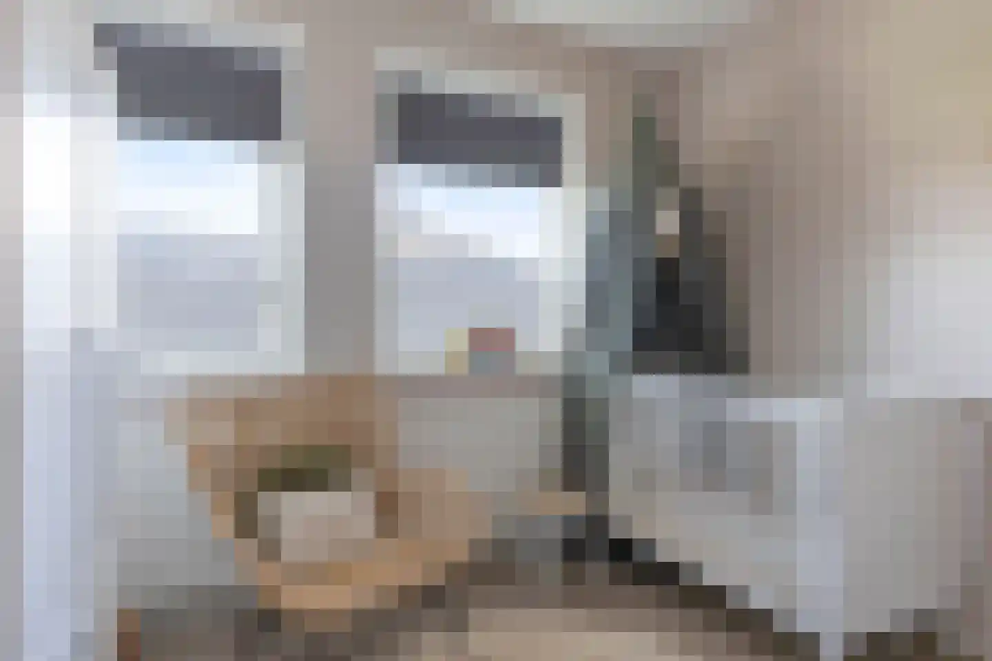 Lijsterbeslaan 3 Heerenveen thumbnail 27