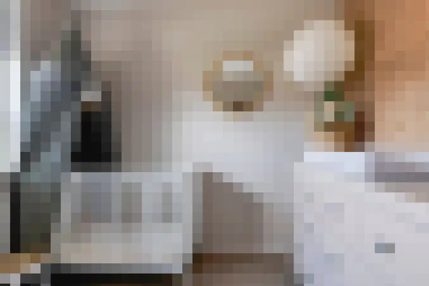 Lijsterbeslaan 3 Heerenveen thumbnail 28