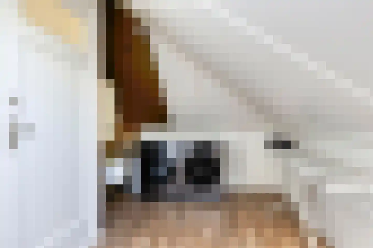 Lijsterbeslaan 3 Heerenveen thumbnail 32
