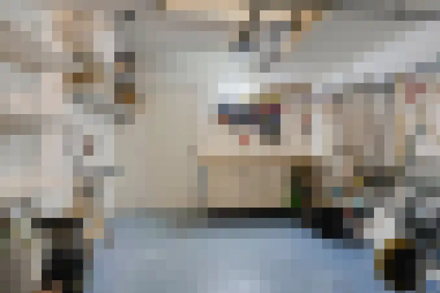 Lijsterbeslaan 3 Heerenveen thumbnail 38