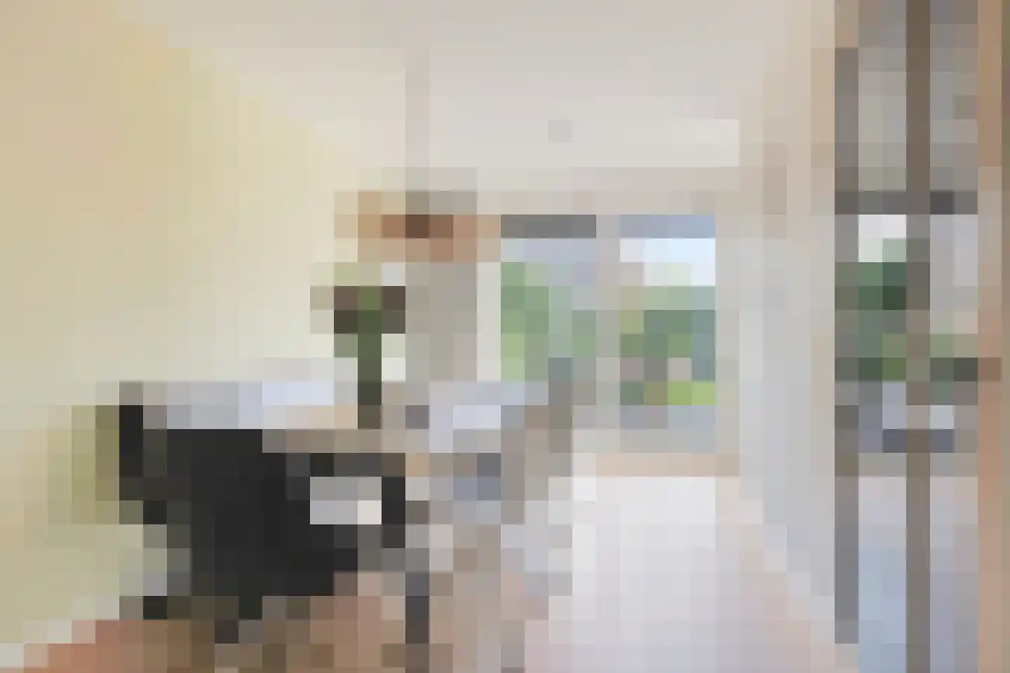 Lijsterbeslaan 3 Heerenveen thumbnail 8