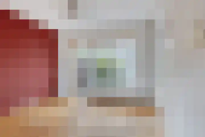 Lijsterbeslaan 31 Roosendaal thumbnail 11