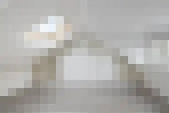 Lijsterbeslaan 31 Roosendaal thumbnail 23
