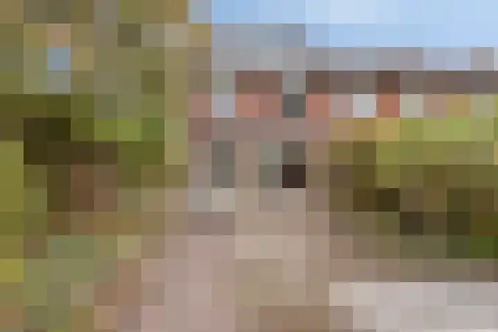 Lijsterbeslaan 31 Roosendaal thumbnail 25