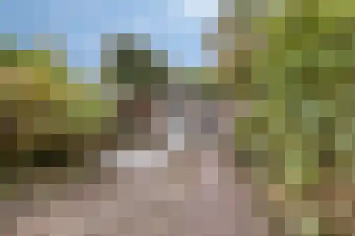Lijsterbeslaan 31 Roosendaal thumbnail 26
