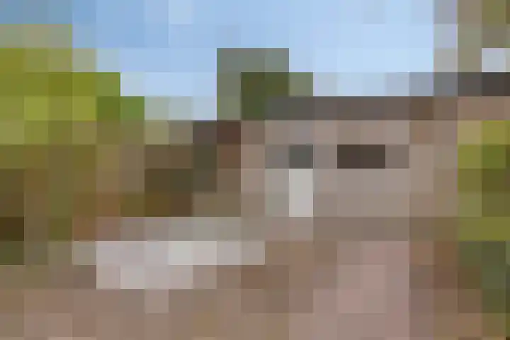 Lijsterbeslaan 31 Roosendaal thumbnail 27