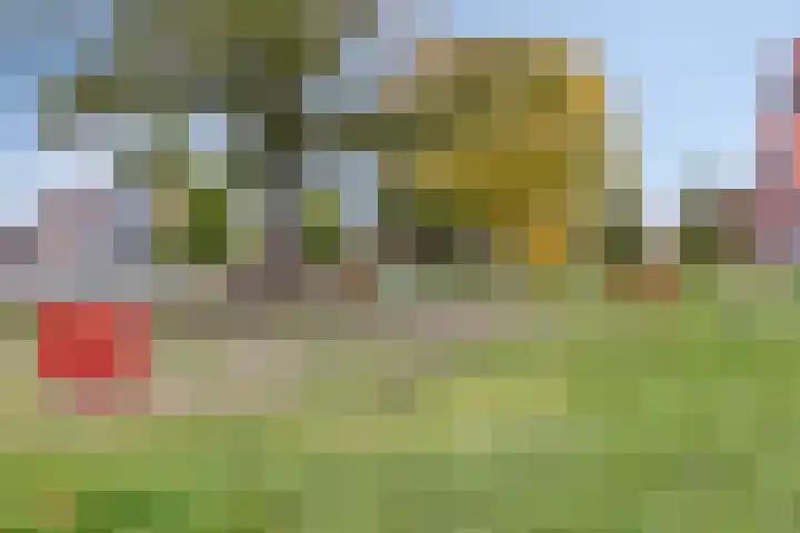 Lijsterbeslaan 31 Roosendaal thumbnail 33