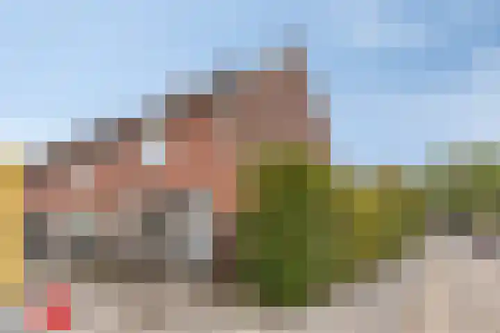 Lijsterbeslaan 31 Roosendaal thumbnail 5