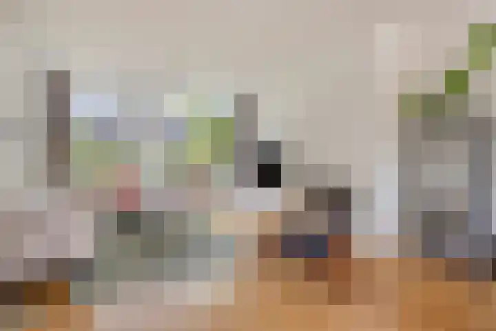 Lijsterbeslaan 31 Rosmalen thumbnail 11