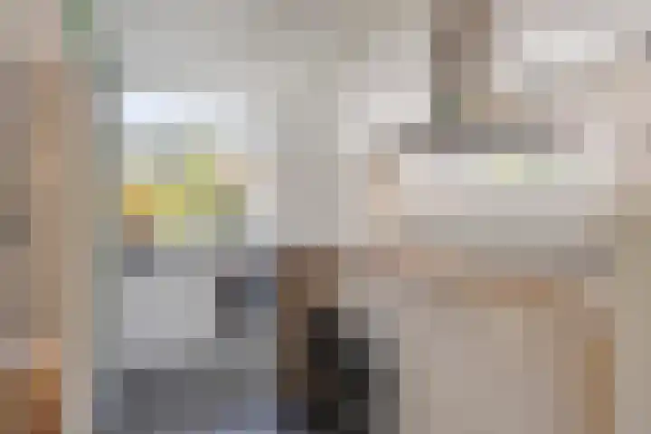 Lijsterbeslaan 31 Rosmalen thumbnail 17