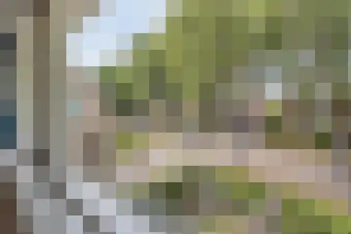 Lijsterbeslaan 31 Rosmalen thumbnail 25