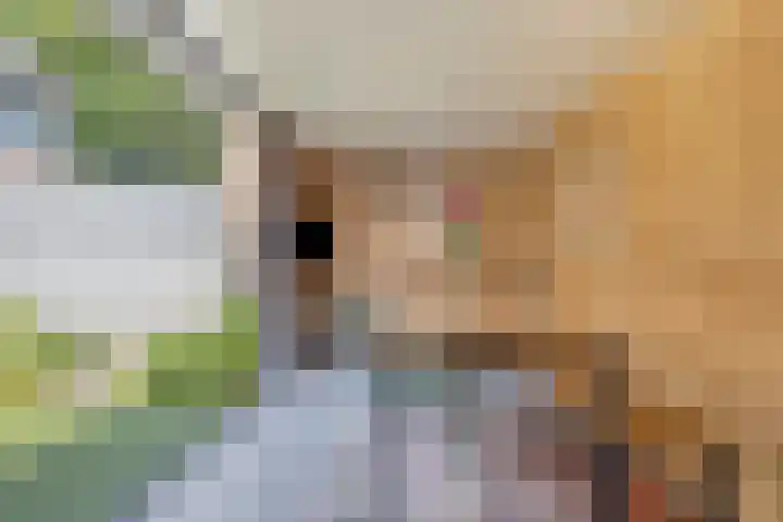 Lijsterbeslaan 31 Rosmalen thumbnail 36